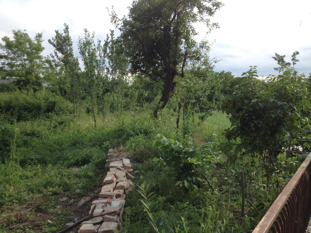 Bed and Breakfast R&B Mulino Marsa Кастель-Аркуато Номер фото